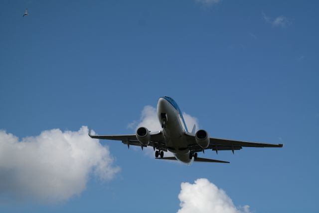 jetlag tips voor lange vlucht